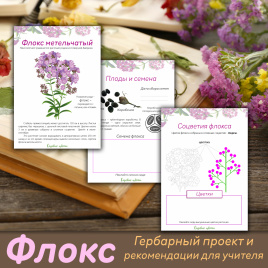 Проект "Декоративные растения: Флокс"