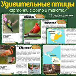 Карточки "Удивительные птицы"