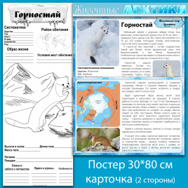 Горностай: мини-комплект для организации познавательной деятельности