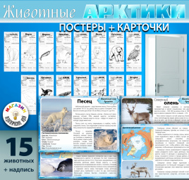 Комплект материалов "Животные Арктики"