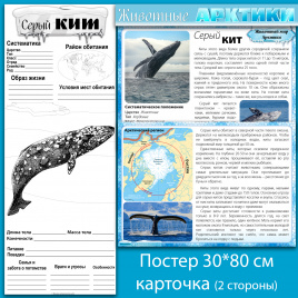 Серый кит: мини-комплект для организации познавательной деятельности