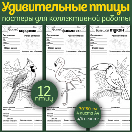 Постеры для коллективной работы "Удивительные птицы"