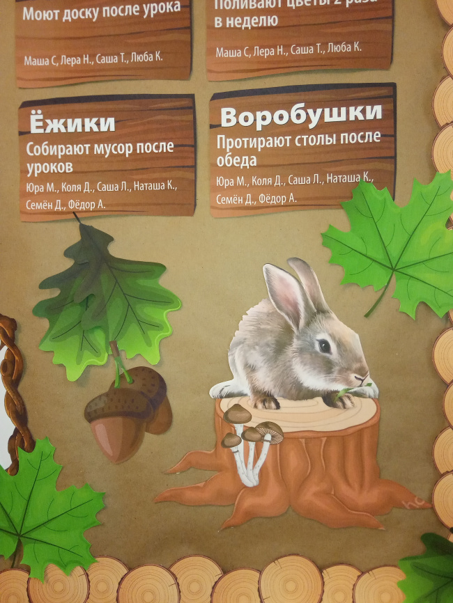 Комплект для оформления пробковых досок "Лесная школа" фото 13