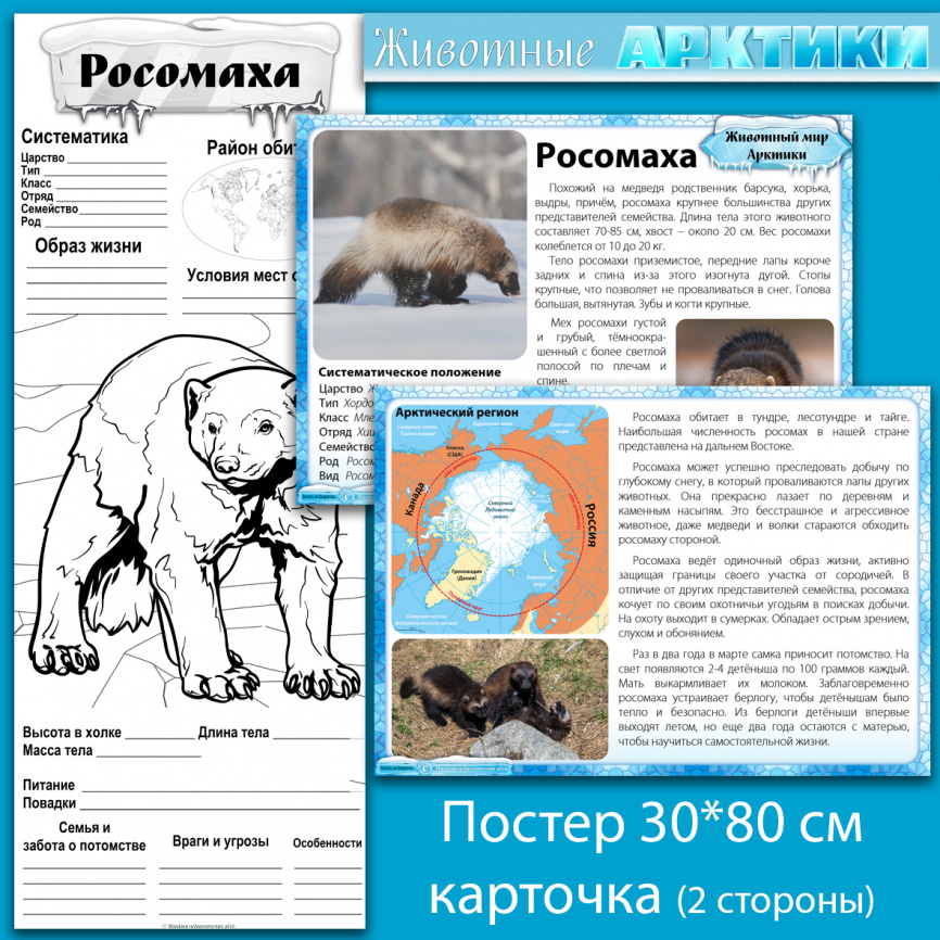 Комплект материалов "Животные Арктики" фото 14
