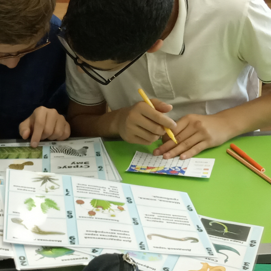 Проверяемая безударная гласная в корне. Проявляющаяся картинка фото 9