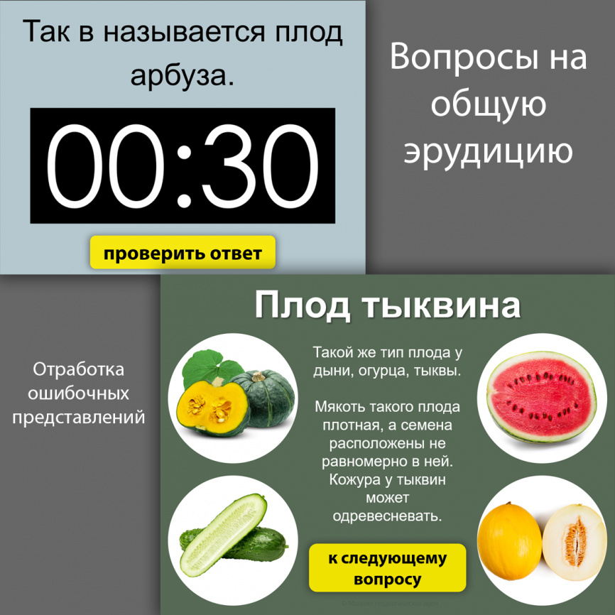 Арбузник: внеклассное мероприятие "под ключ" фото 10