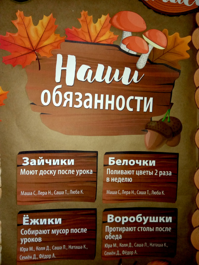 Комплект для оформления пробковых досок "Лесная школа" фото 15