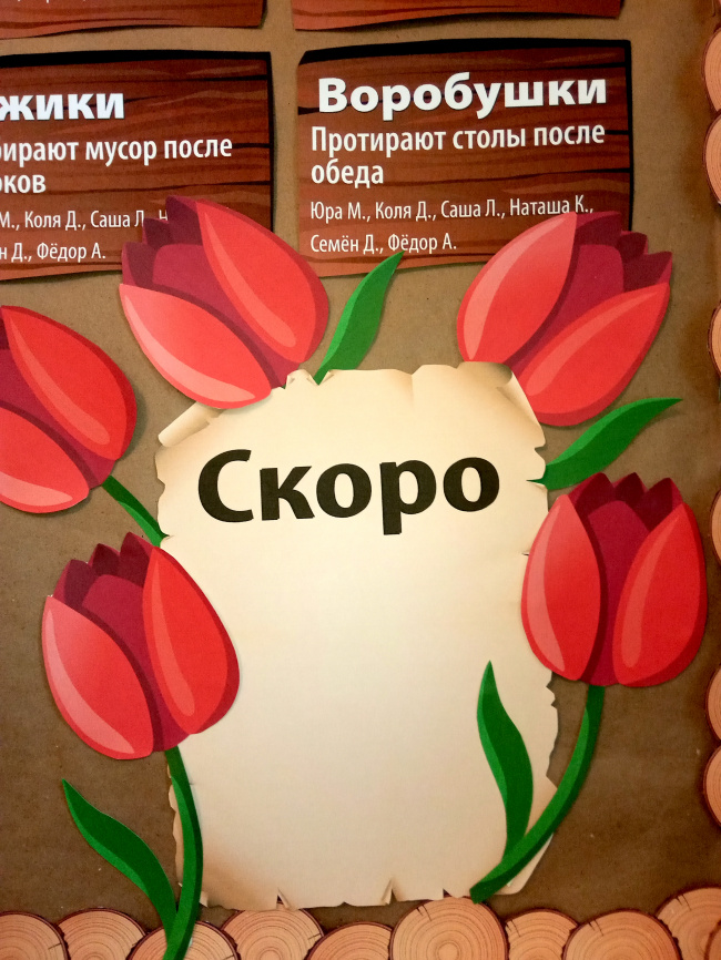 Комплект для оформления пробковых досок "Лесная школа" фото 7