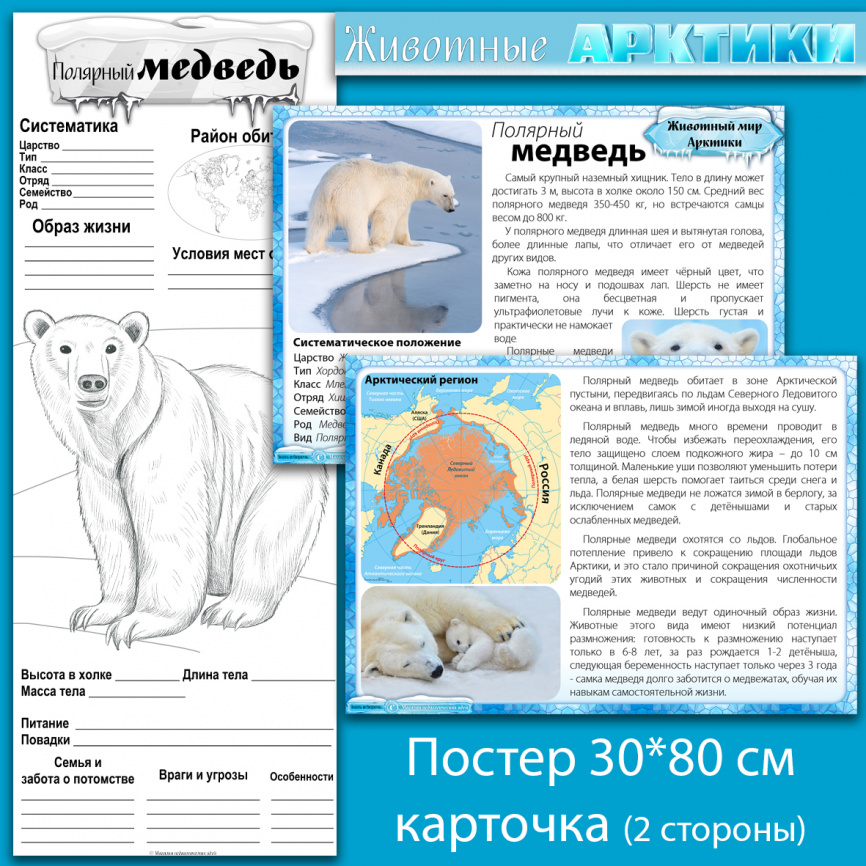 Комплект материалов "Животные Арктики" фото 8