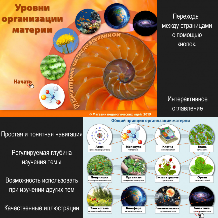 Уровни организации материи: интерактивный теоретический блок фото 2