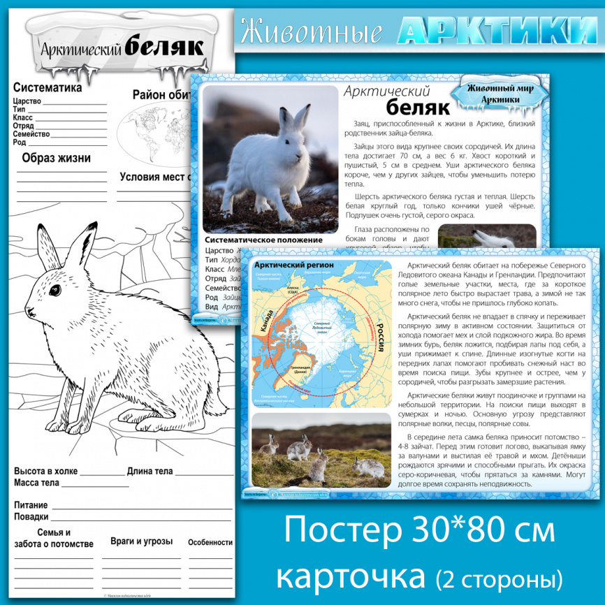 Комплект материалов "Животные Арктики" фото 3