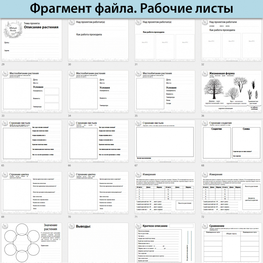 Исследовательский проект "Цветут весной" фото 8
