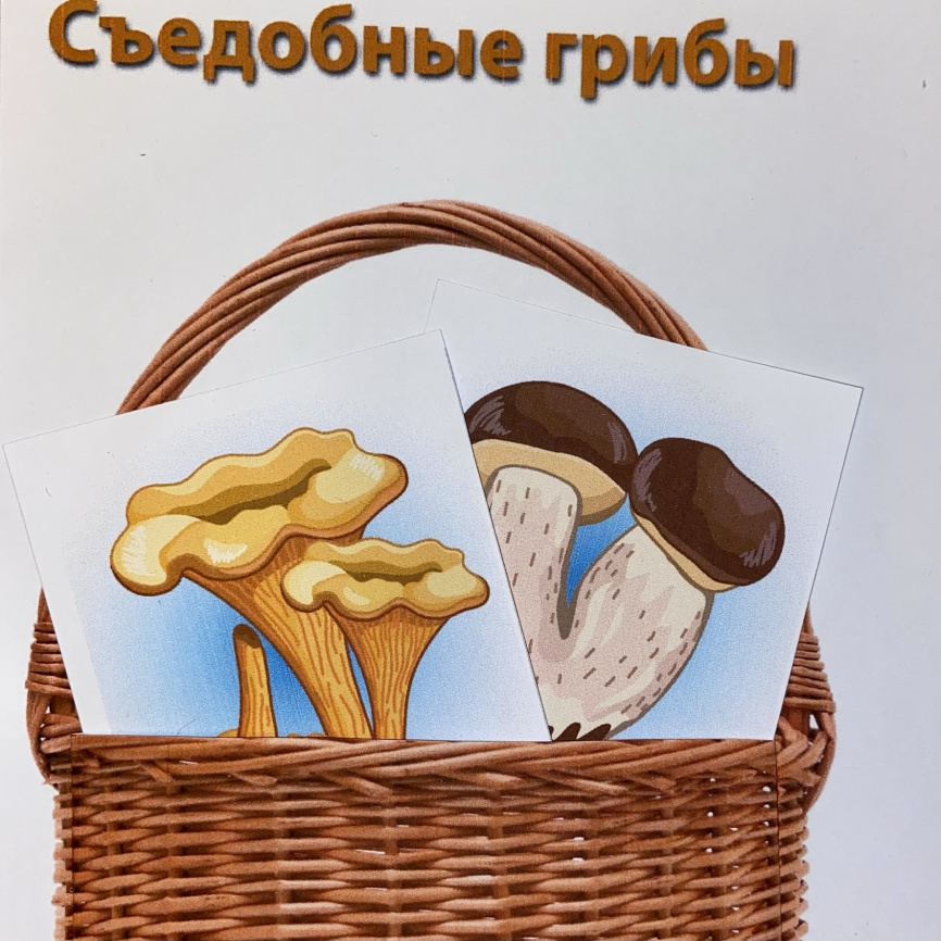 Мини-карточки для сортировки "Съедобные и несъедобные грибы" фото 2