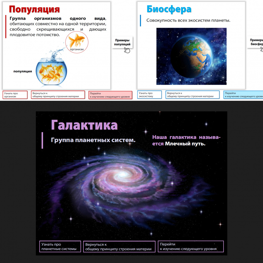 Уровни организации материи: интерактивный теоретический блок фото 9