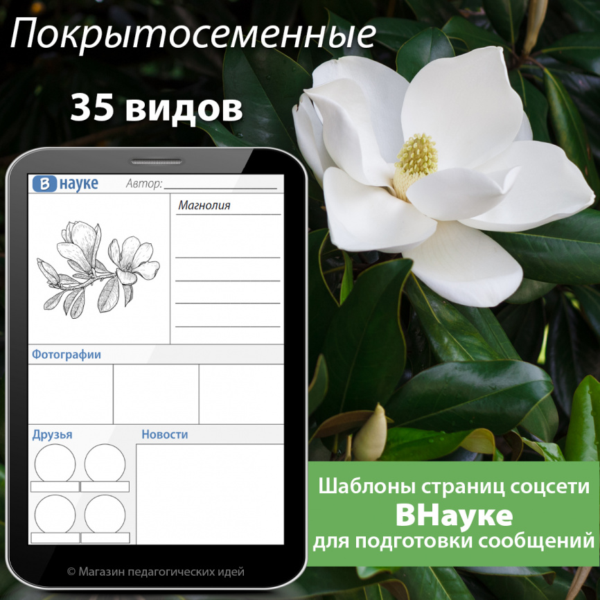 Шаблоны страниц соцсетей для подготовки сообщений: Покрытосеменные растения фото 1