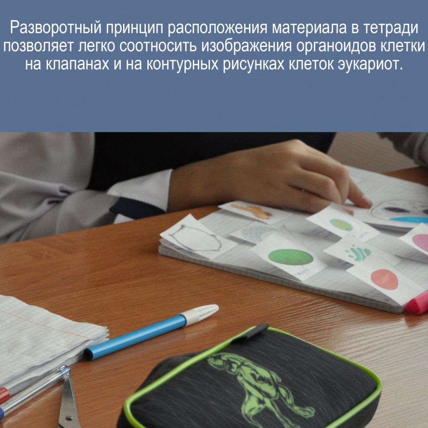 Строение клетки: теория + интерактивные элементы для тетради фото 6