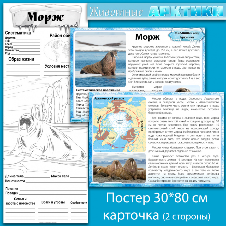 Комплект материалов "Животные Арктики" фото 9