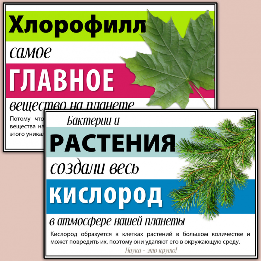 Постеры с научными фактами "Наука - это круто" фото 4