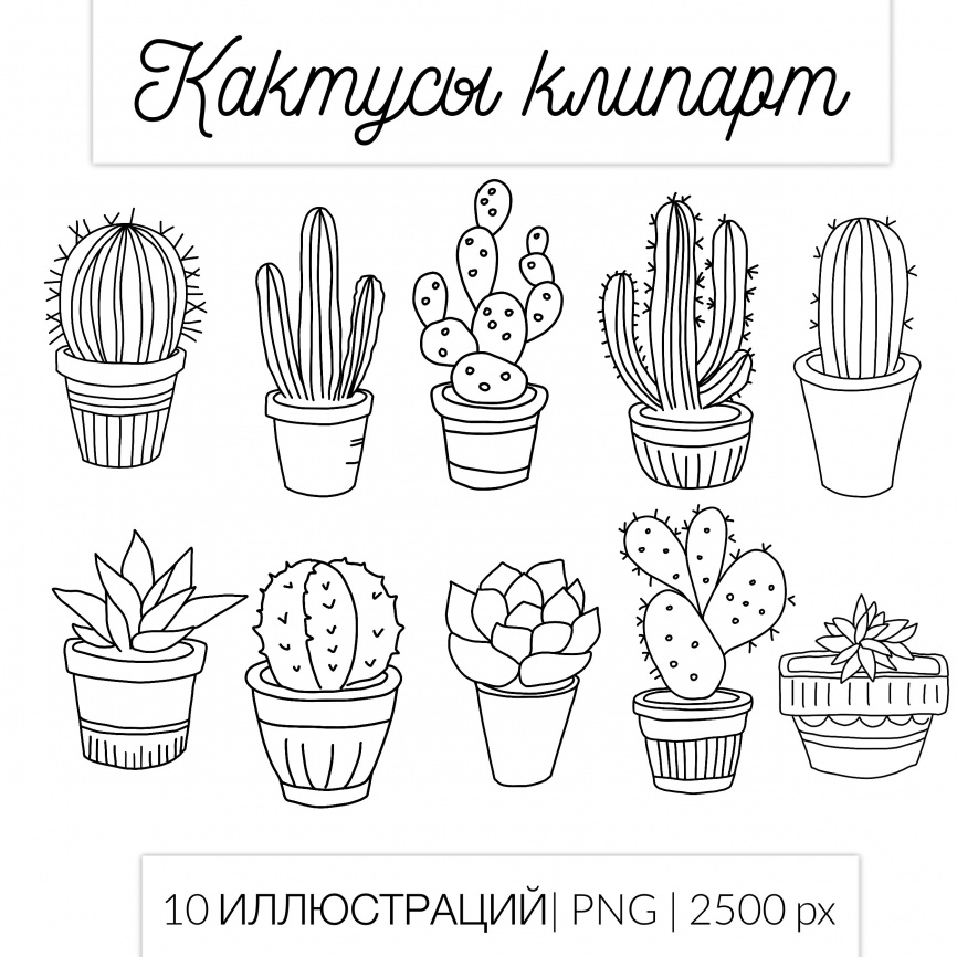 Кактусы. Черно-белый клипарт для рабочих листов фото 1