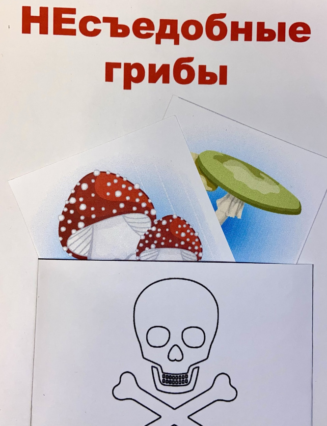 Мини-карточки для сортировки "Съедобные и несъедобные грибы" фото 3
