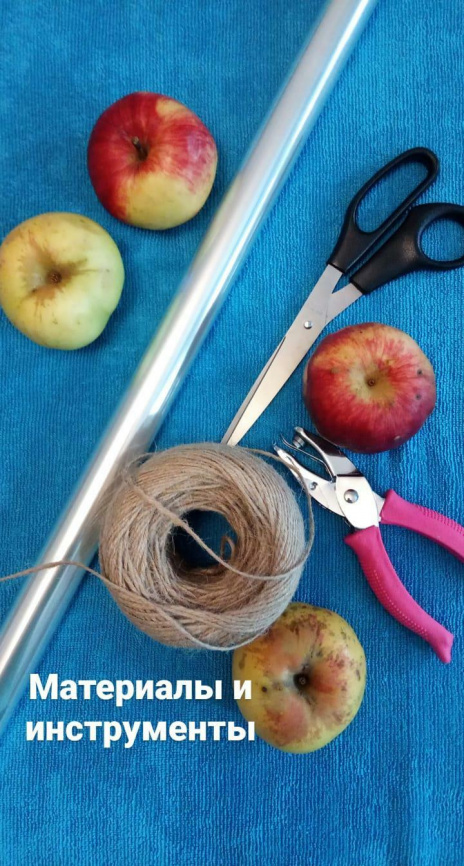 Этикетки для яблок_Волшебное яблочко фото 4