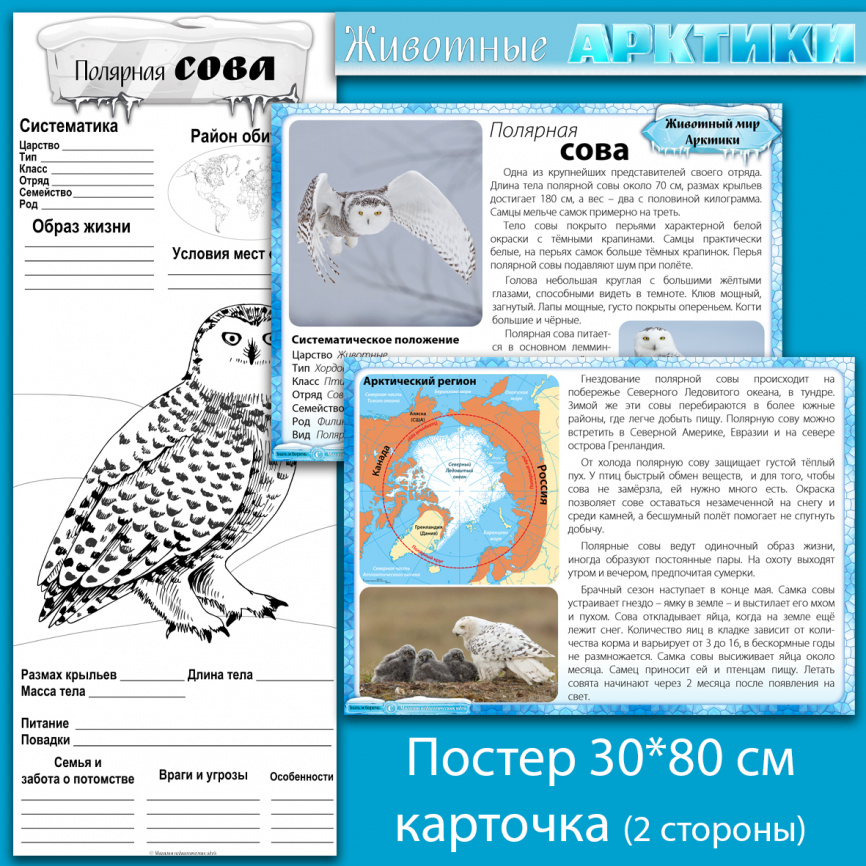 Комплект материалов "Животные Арктики" фото 15