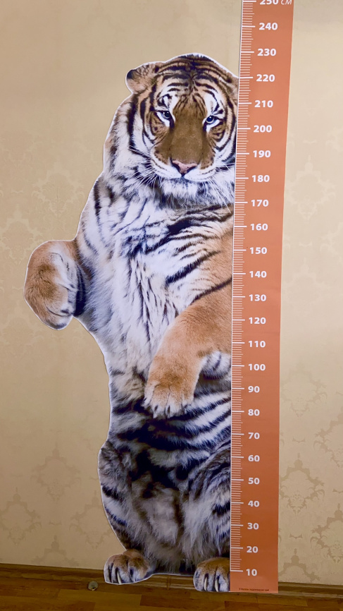 ТИГРОМЕР фото 4