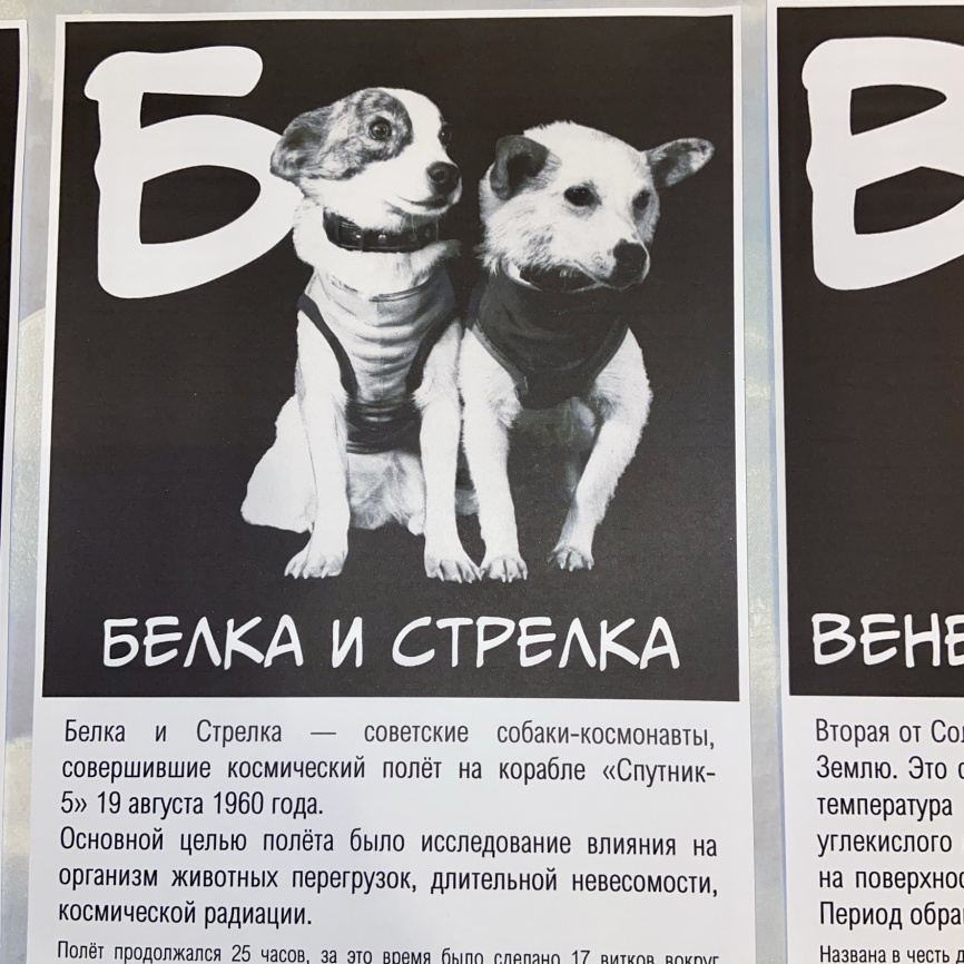 Космический алфавит. Информационные карточки фото 5