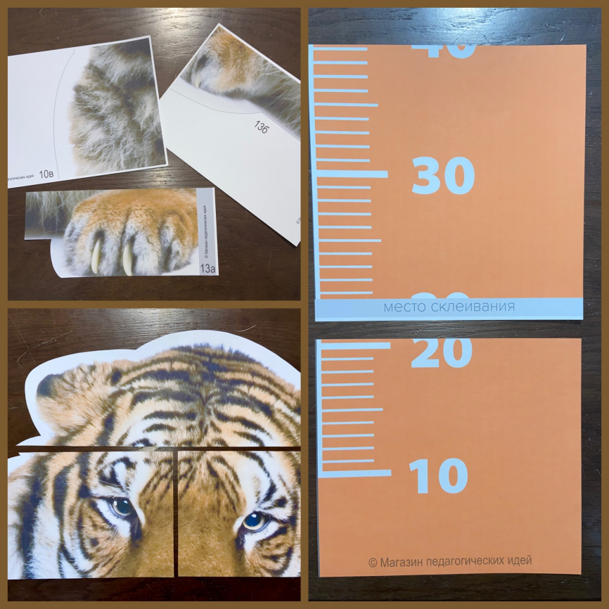 ТИГРОМЕР фото 2