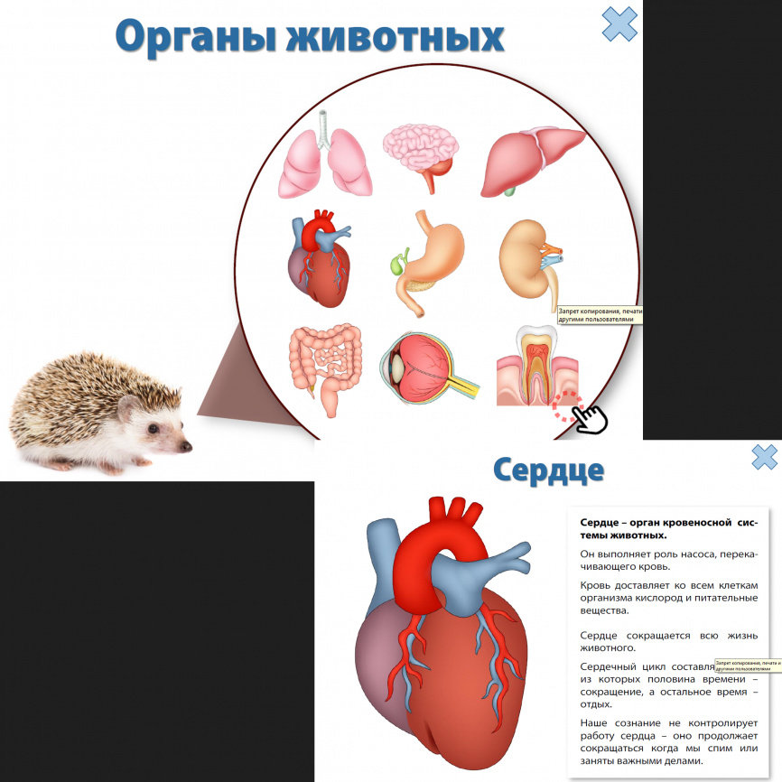 Уровни организации материи: интерактивный теоретический блок фото 8