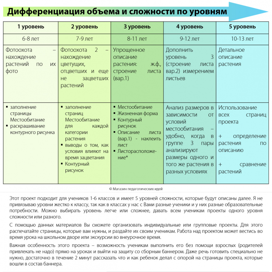 Исследовательский проект "Цветут весной" фото 4