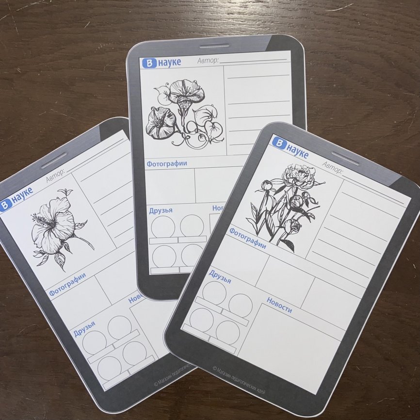 Шаблоны страниц соцсетей для подготовки сообщений: Покрытосеменные растения фото 2